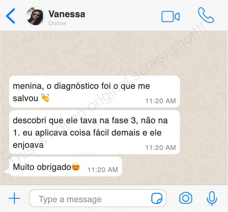 Mensagem de WhatsApp da Vanessa: o diagnóstico mostrou que o filho estava na fase 3, não na 1, e ela aplicava coisa fácil demais